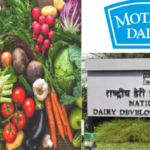 nddb and mother dairy