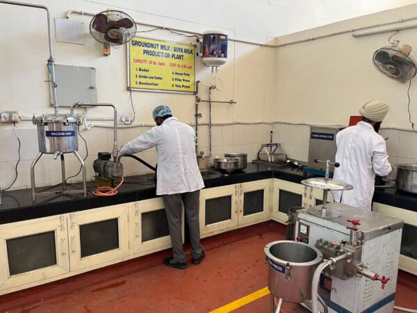 PEANUT, MILK, CIPHET, LUDHIANA