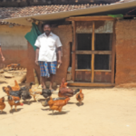 poultry farming