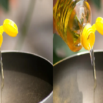 livestock animal news