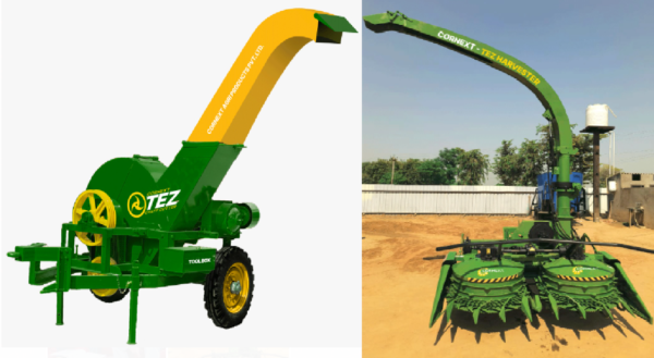 livestock animal news