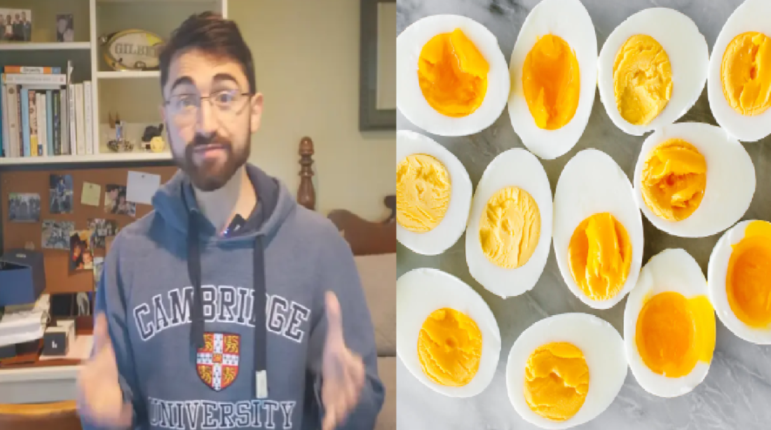 egg