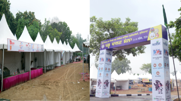 livestock animal news