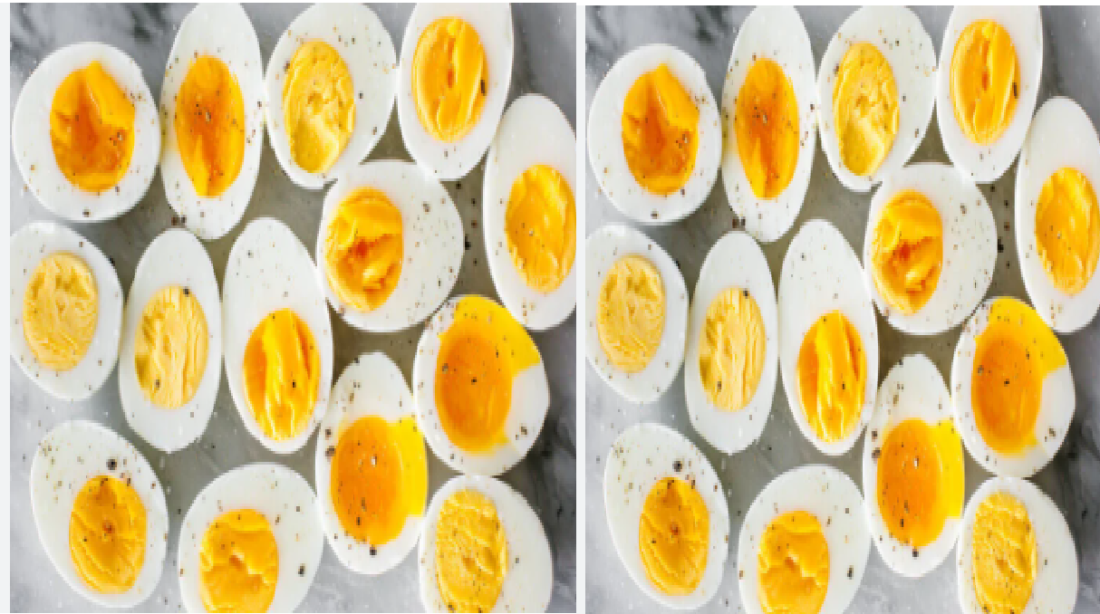 egg