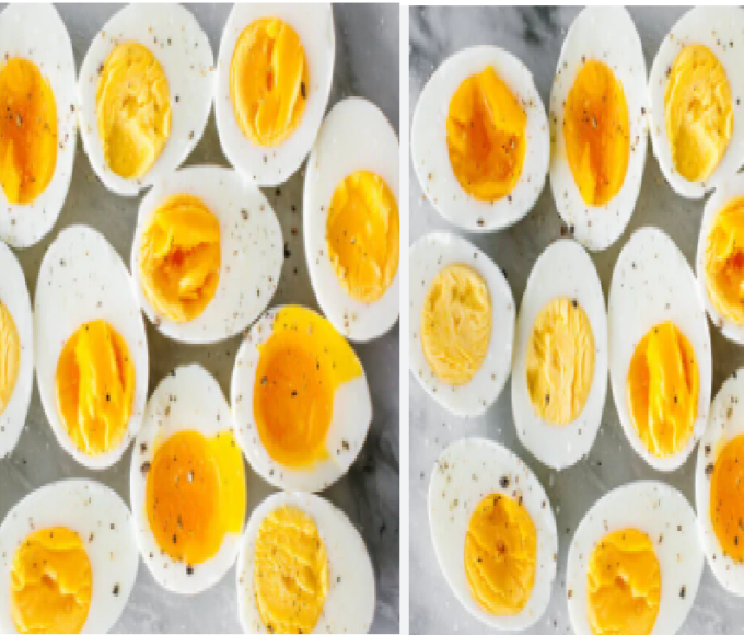 egg
