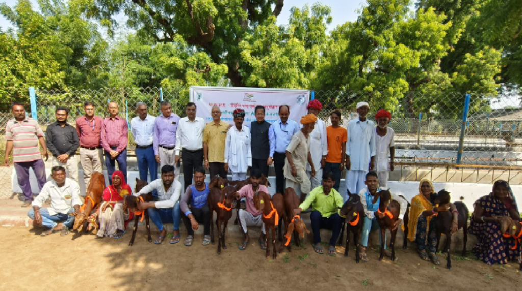 goat farming