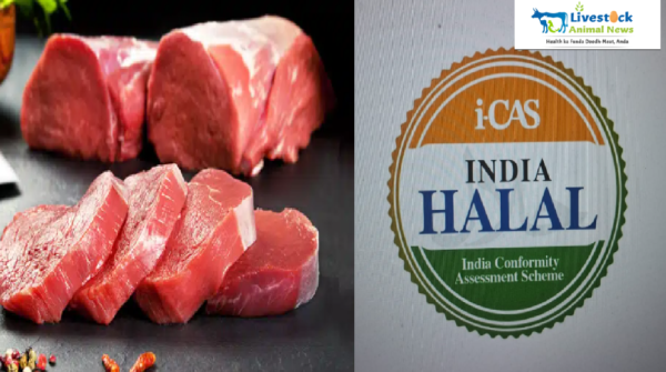 halal meat