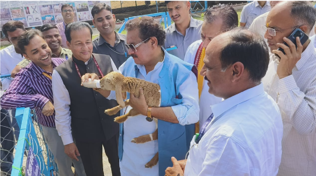 animal husbandry
