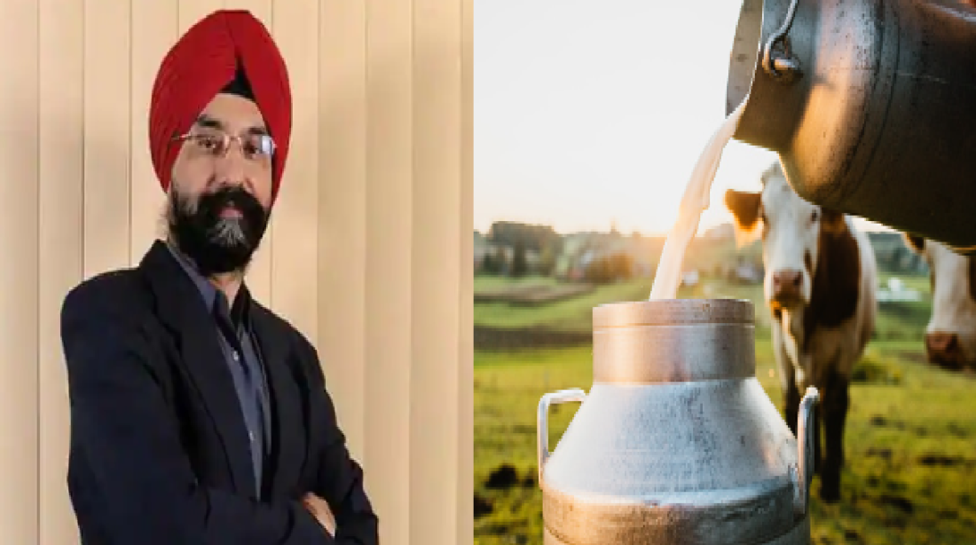dairy sector