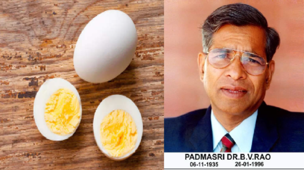 egg poultry