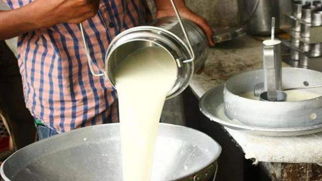 सामान्य तौर पर गाय ढाई से 3 वर्ष में और भैंस तीन से चार वर्ष की आयु में प्रजनन योग्य हो जाती हैं. प्रजनन काल में पशु 21 दिनों के अंतराल के बाद गाभिन करा देना चाहिए.