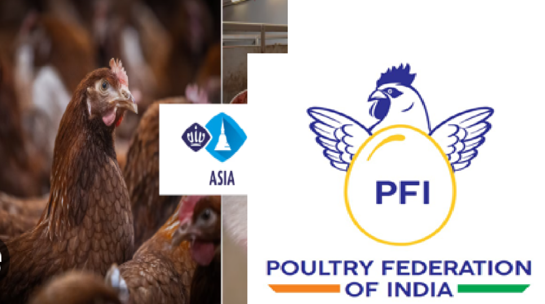 pfi