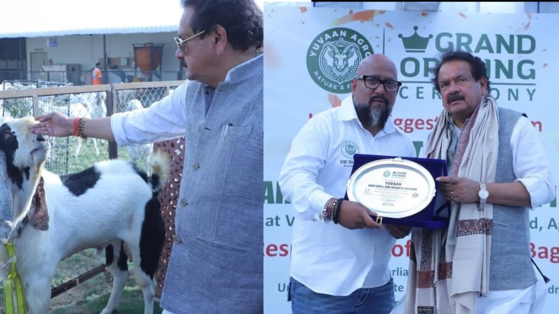 डीके सिंह ने बताया कि किसानों की सुविधा के लिए यहां 5-स्टार गेस्ट हाउस भी बनाया गया है. युवान एग्रो फार्म को ISO 9001:2015 प्रमाणन और इंटरनेशनल गोट एसोसिएशन (IGA) से मान्यता प्राप्त है. इस दौरान अभिनेता रजा मुराद और डॉक्टर पार्थ बघेल भी मौजूद थे.