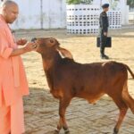 कुल 14 करोड़ 50 लाख पशुओं का टीकाकरण किया गया, जिसमें लंपी रोग से बचाव के लिए 1 करोड़ 92 लाख पशुओं को वैक्सीन दी गई.