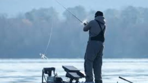 In addition, to address the critical infrastructure requirements of fisheries and aquaculture sectors, the Department of Fisheries, GoI during 2018-19 has created the Fisheries and Aquaculture Infrastructure Development Fund (FIDF) with a total fund size of Rs 7522.48 crore to provide concessional finance to states/UT and private sector.