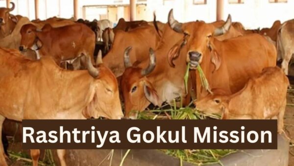 Promotion Of The Dairying Industry, Rashtriya Gokul Mission