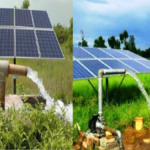 livestock animal news