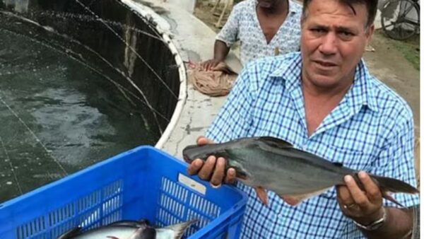 40 सालों की लंबी रिसर्च के बाद 1 एकड़ से 5 एकड़ जितना मछली का उत्पादन मिला है. भविष्य में मछली पालने वाले लोगों को फायदा होगा.