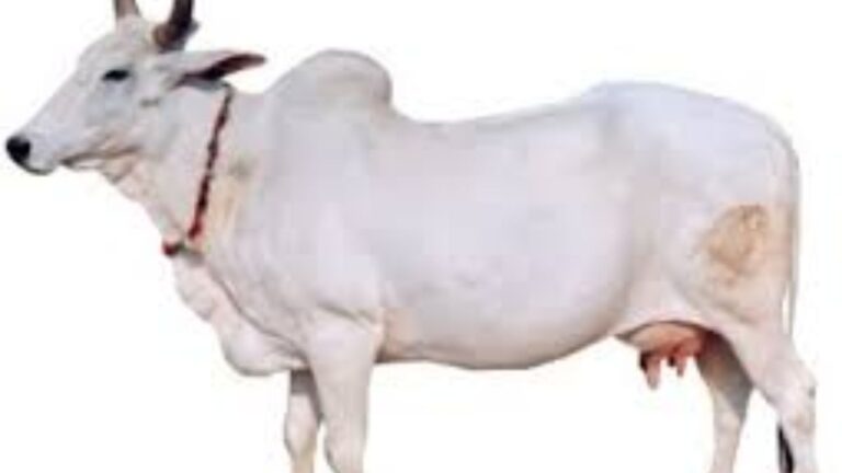 खबरें दिनभर की: लाइव अपडेट्स
