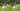 livestock animal news