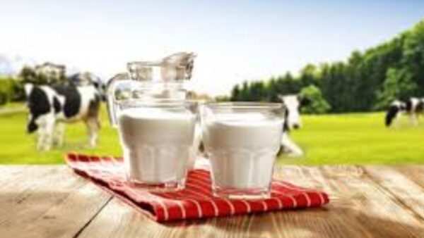 a glimmer of hope emerged from a remote city in Gujarat Ananda city syn emynous with India's cooperative success story and known as Indus milk capital.