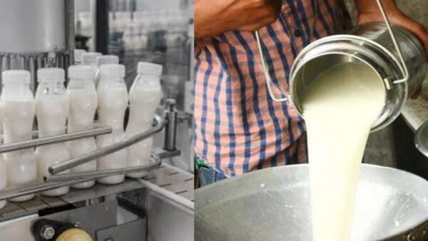 NPDD scheme is being implemented to enhance quality of milk and milk products and increase share of organized milk procurement.