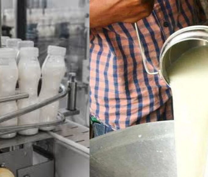 NPDD scheme is being implemented to enhance quality of milk and milk products and increase share of organized milk procurement.