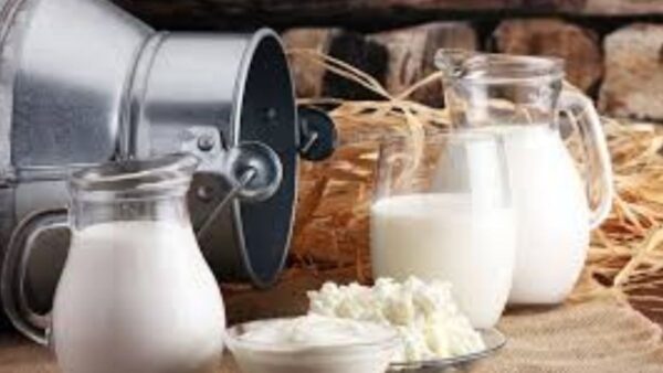 The sacorm of dairy cooperatives has inspired the spirit of cooperation in many ocher sectors.