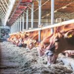 Farmers/ entrepreneurs have been able to move from unorganized market to organized market.