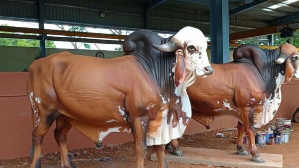 In the last few years, the problem of stray cattle has taken a frightening form in Uttar Pradesh and other states.