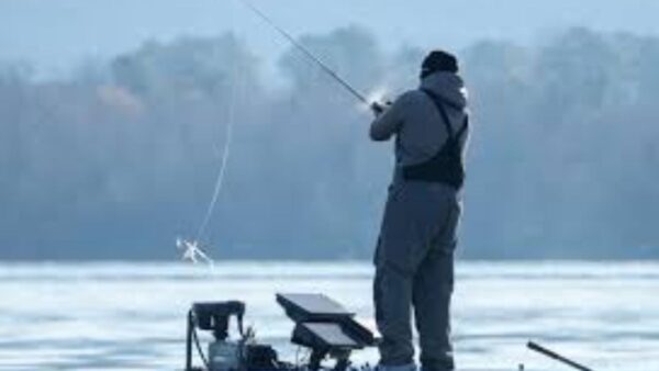 During the fishing ban period, financial assistance is provided by the Government towards livelihood and nutritional support for socio-economically backward, active traditional fishers.