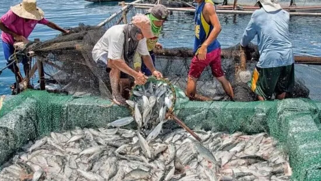 Deep Sea fishing vessels, Ice Plants, Livelihood & Nutritional Support have been implemented in Kakinada District.