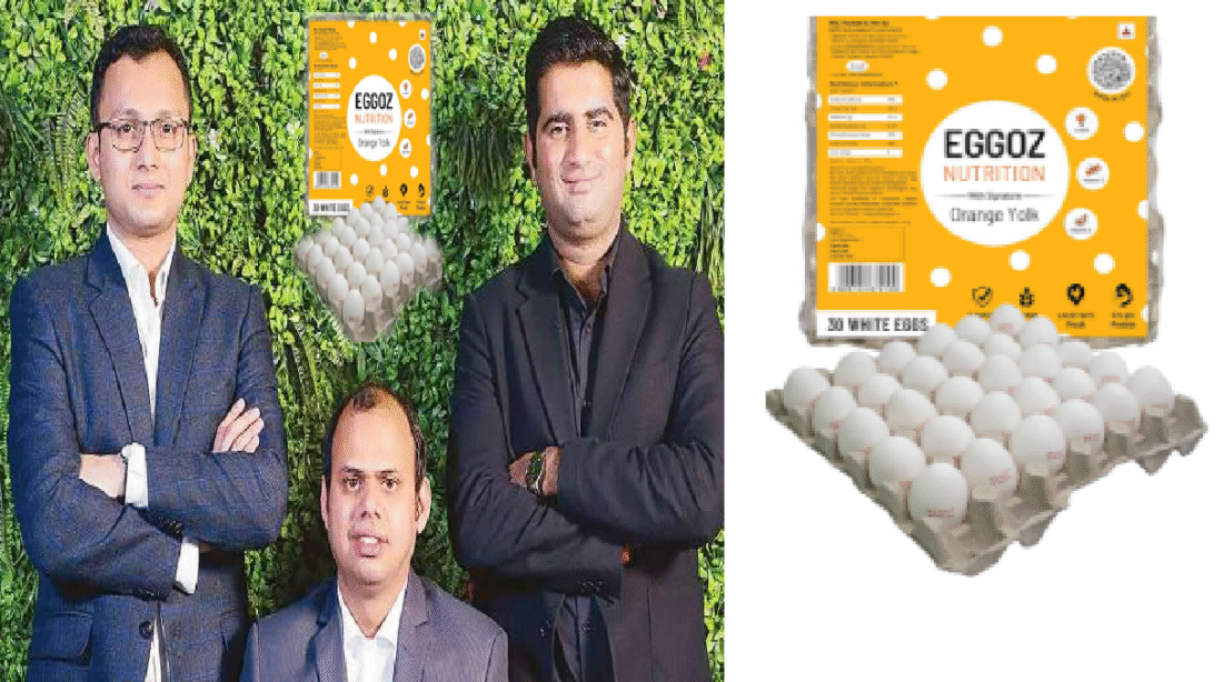 egg news