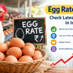 Egg Rate Today – Latest Egg Prices in India
