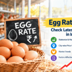 egg-rate-today-check-todays-egg-prices-in-ind